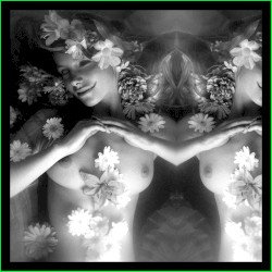 Ouarda (The Subtle Art of Phyllorhodomancy)