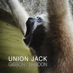Gibbon / Baboon