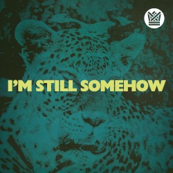 I’m Still Somehow