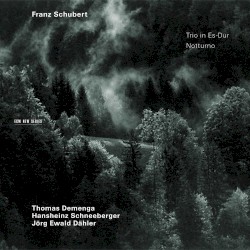 Trio in Es-Dur / Notturno