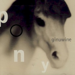 Pony