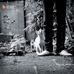 Hi‐Hat Club (Vol. 6): Haus & Garten