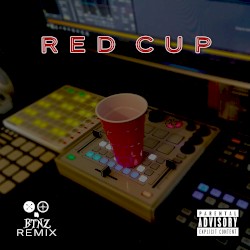 Red Cup (BTNZ Remix)