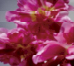 何度でも新しく生まれる