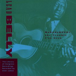 Nobody Knows the Trouble I've Seen: The Library of Congress Recordings, Volume 5