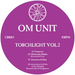 Torchlight Vol.2