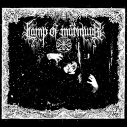 Remnants of a Bewildered Ache