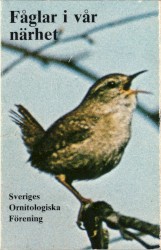 Fåglar i vår närhet
