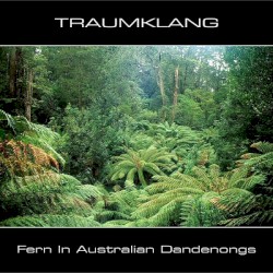 Fern in Australian Dandenongs