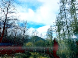 Natural Field Recordings I