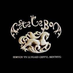 Edrych Yn Llygaid Ceffyl Benthyg