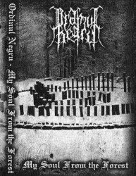 My Soul From the Forest