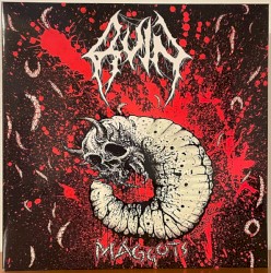 Maggots