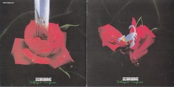 Tokyo Tapes