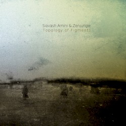 Topology of Figments