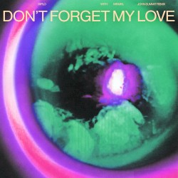 Don't Forget My Love (John Summit remix)