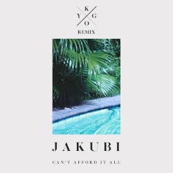 Can’t Afford It All (Kygo remix)