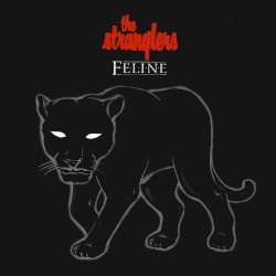 Feline