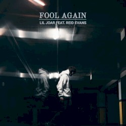 Fool Again