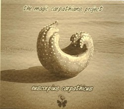 Euscorpius Carpathicus