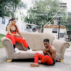 Surrounded by Idiots