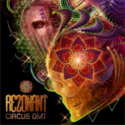 Circus DMT
