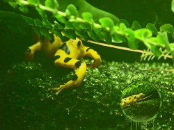 Turning Away From The Overthrow/The Macrocosm Deteriorate