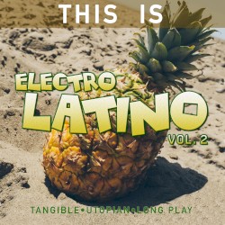This is Electrolatino, Vol. 2
