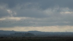 longplay (infinite winter)