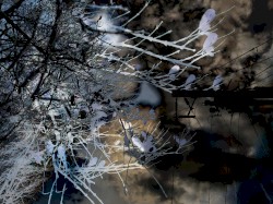 Freeroam 106 :: Come Claim Your Cloud