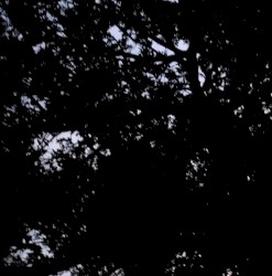 Rupturing autonomic nerves