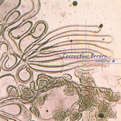 Corrective Errors〜remix of 舟