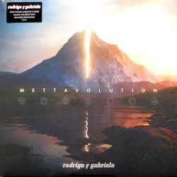 Mettavolution