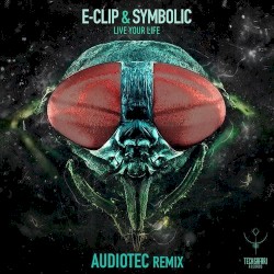 Live Your Life (Audiotec remix)