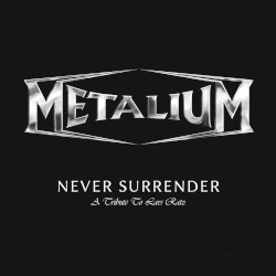 Never Surrender