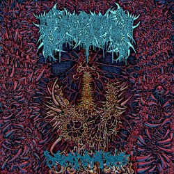 Decrepit Flesh Relic