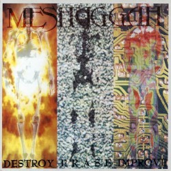 Destroy Erase Improve