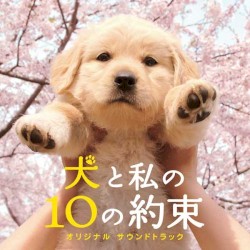 犬と私の10の約束