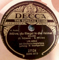 Möve, du fliegst in die Heimat