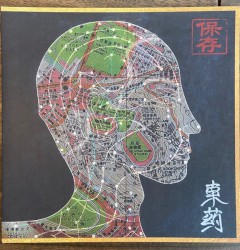 Eastern Medicine, Western Illness