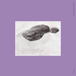 Sophisticated Savage