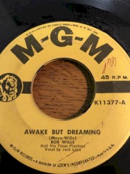 Awake but Dreaming / Steamboat Stomp