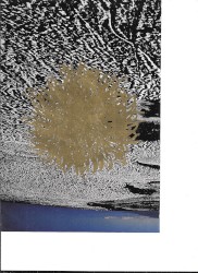 we overflow the streets and squares like the sea in a spring tide… and that very instant the tyrants of the Earth shall bite the dust