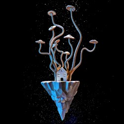 Mycelium Pulse