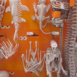 Target During Halloween Season