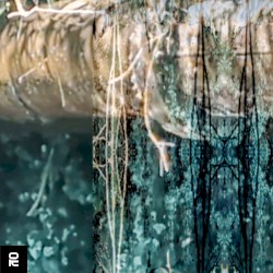 Broken Beats Collection: 2