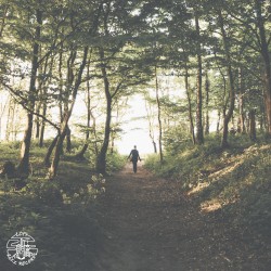 Forest Walk