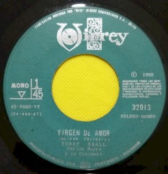 Virgen de amor / Panama viejo