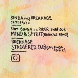 Binga vs Breakage