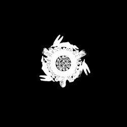 The Warren of Snares